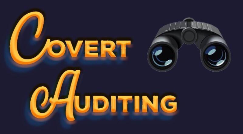Covert Auditing