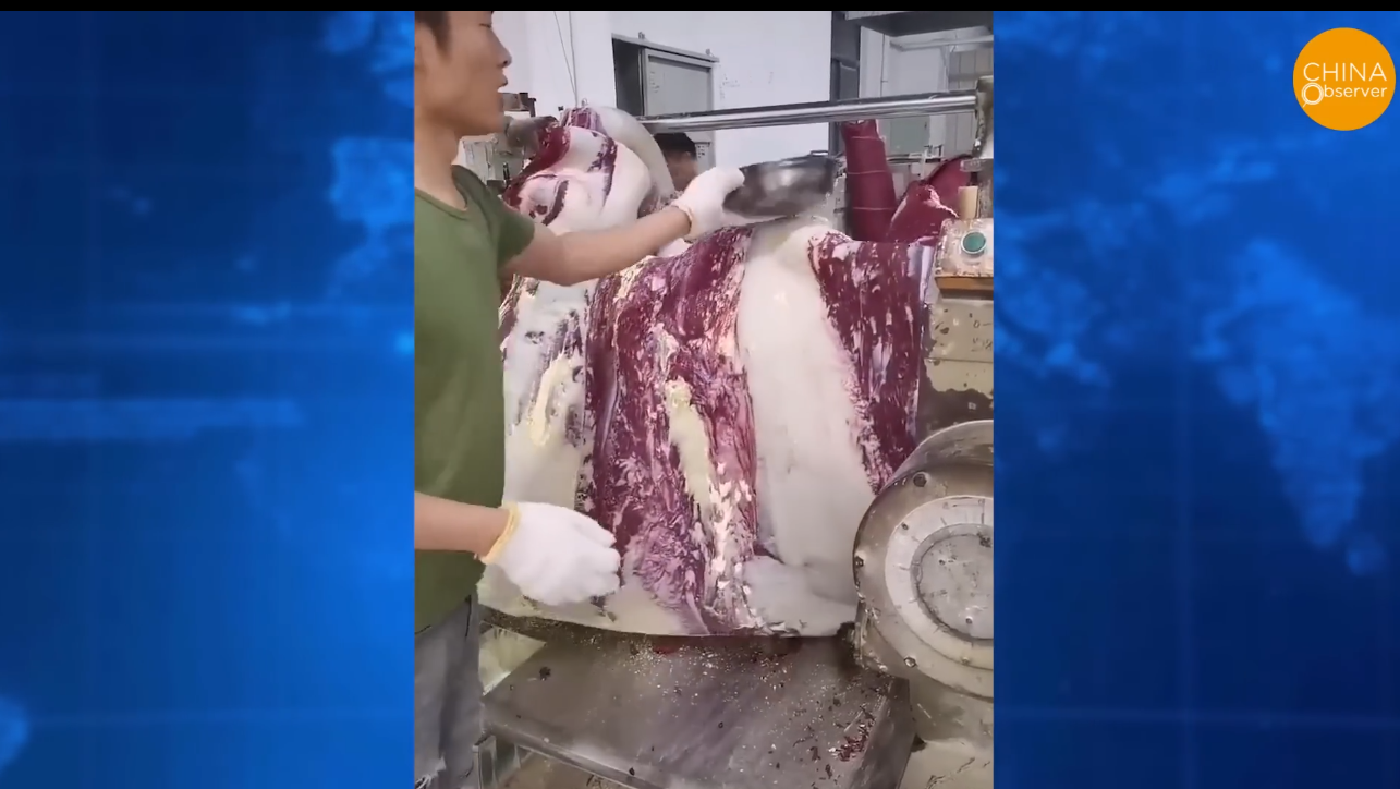 Scary Counterfeit Foods in China Fake Beef and Lamb