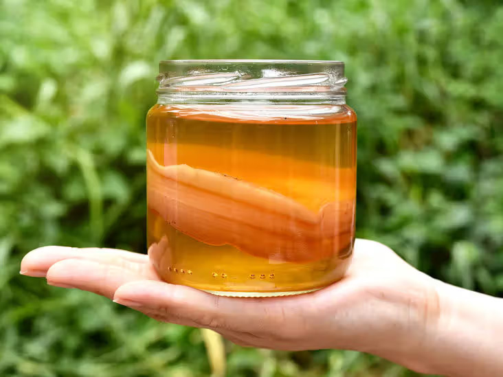 Kombucha microbes break down fat stores like fasting – without the effort